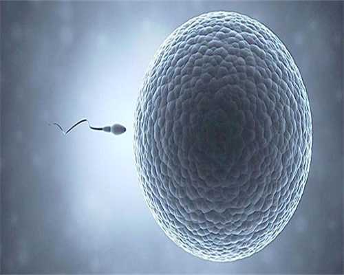 丹江口市试管婴儿医院排名：优质胚胎助您实现生育梦想