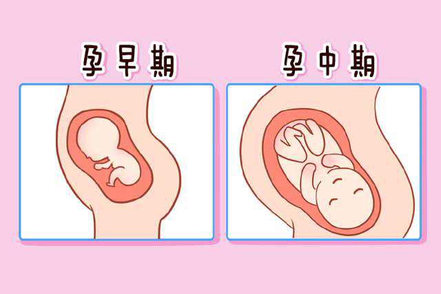 广州试管供卵选性别包男孩包成功
