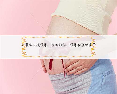 安徽私人找代孕，预备知识：代孕和合肥房价