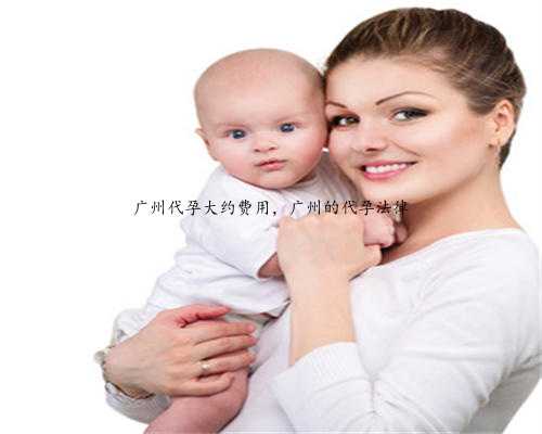 广州代孕大约费用，广州的代孕法律