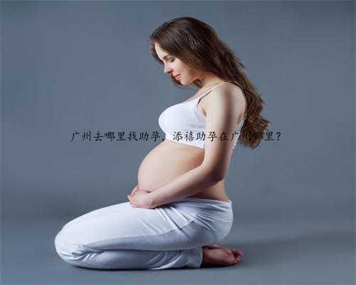 广州去哪里找助孕，添禧助孕在广州哪里？