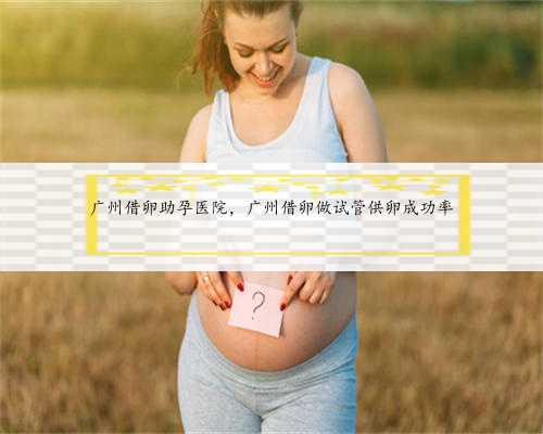 广州借卵助孕医院，广州借卵做试管供卵成功率