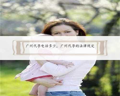 广州代孕电话多少，广州代孕的法律规定