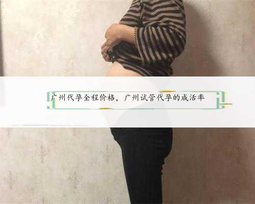 广州代孕全程价格，广州试管代孕的成活率
