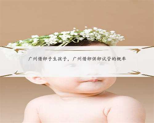 广州借卵子生孩子，广州借卵供卵试管的概率