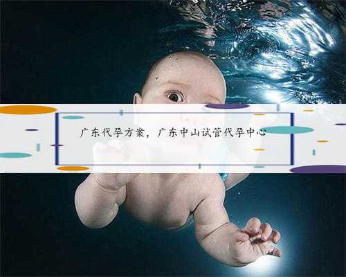 广东代孕方案，广东中山试管代孕中心