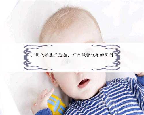 广州代孕生三胞胎，广州试管代孕的费用