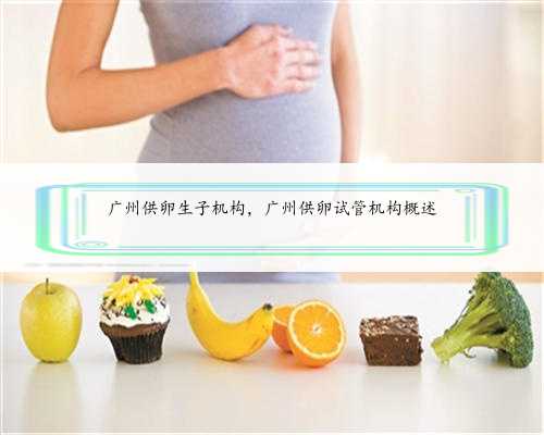 广州供卵生子机构，广州供卵试管机构概述