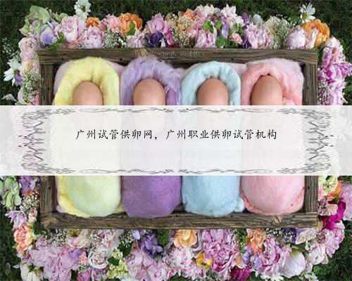 广州试管供卵网，广州职业供卵试管机构