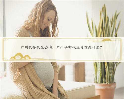 广州代怀代生咨询，广州供卵代生男孩是什么？