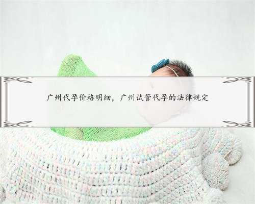 广州代孕价格明细，广州试管代孕的法律规定