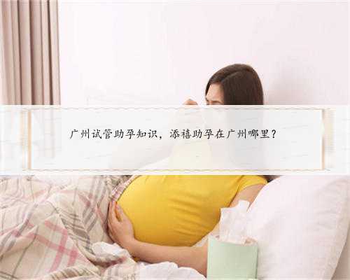 广州试管助孕知识，添禧助孕在广州哪里？