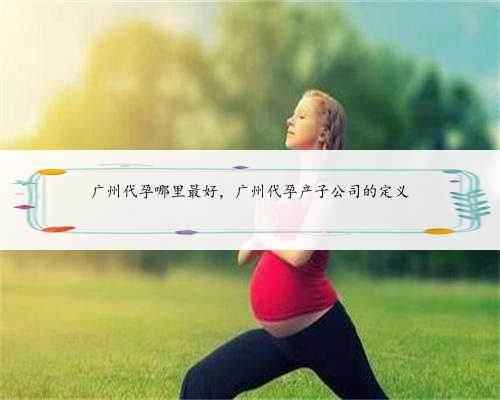 广州代孕哪里最好，广州代孕产子公司的定义