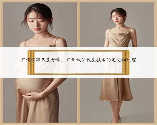 广州供卵代生母亲，广州试管代生技术的定义和原理