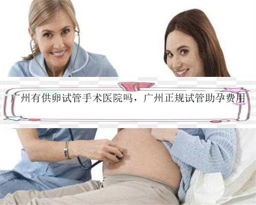 广州有供卵试管手术医院吗，广州正规试管助孕费用