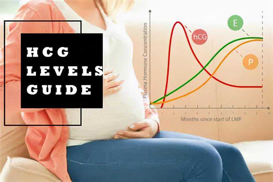 早孕期，让人迷惑的HCG
