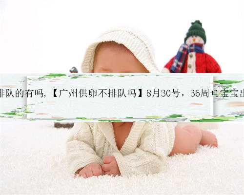 广州供卵不排队的有吗,【广州供卵不排队吗】8月30号，36周+1宝宝出生了（下）