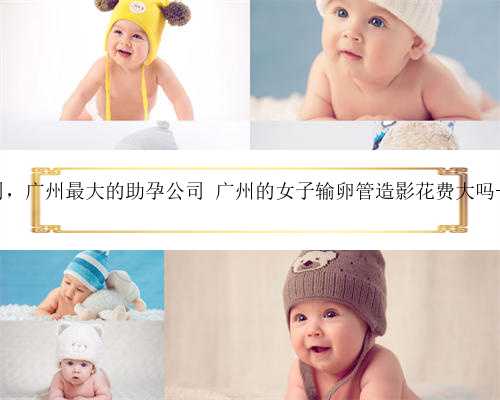 广州代妈正规公司，广州最大的助孕公司 广州的女子输卵管造影花费大吗--广州