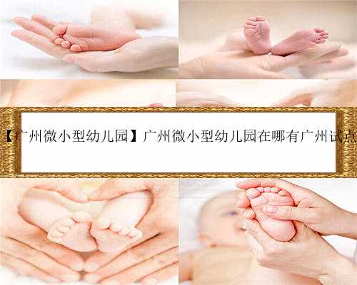 广州可靠助孕公司，【广州微小型幼儿园】广州微小型幼儿园在哪有广州试点微