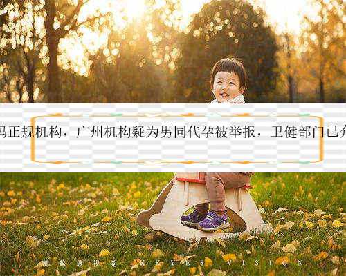 广州代妈正规机构，广州机构疑为男同代孕被举报，卫健部门已介入此事