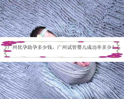 广州优孕助孕多少钱，广州试管婴儿成功率多少？