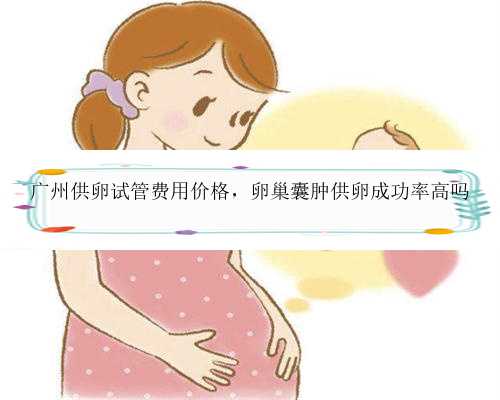 广州供卵试管费用价格，卵巢囊肿供卵成功率高吗