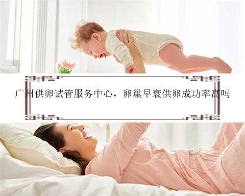 广州供卵试管服务中心，卵巢早衰供卵成功率高吗