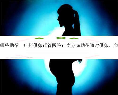 广州有哪些助孕，广州供卵试管医院：南方39助孕随时供卵，卵源丰富