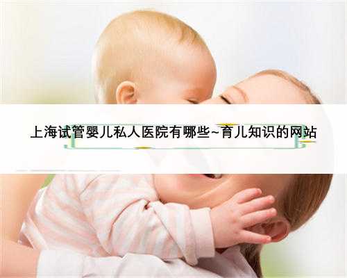 上海试管婴儿私人医院有哪些~育儿知识的网站