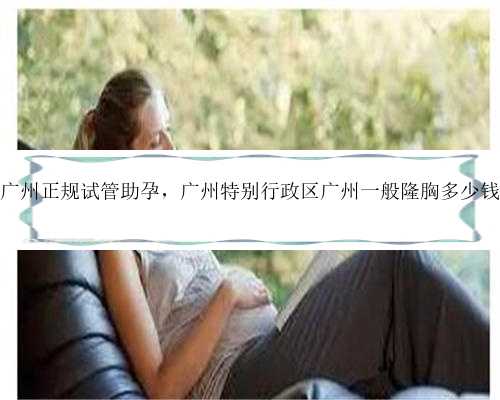 广州正规试管助孕，广州特别行政区广州一般隆胸多少钱